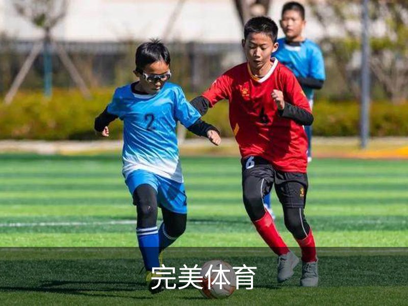 完美体育介绍